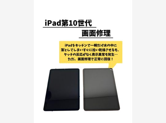 iPad
